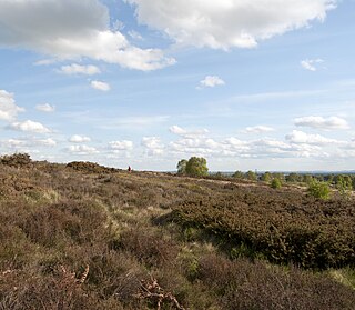 <span class="mw-page-title-main">Gentleshaw Common</span> Protected area in Staffordshire, England