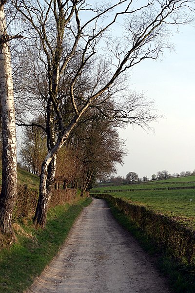 File:Gerendal, weg naar Scheulder04.jpg