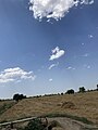 File:Golden fields, bustling harvest 05.jpg