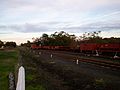Goods Wagons at Drysdale station