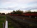 Goods Wagons at Drysdale Station