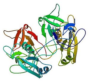 Crystal structure of the mammalian adaptor protein Grb2