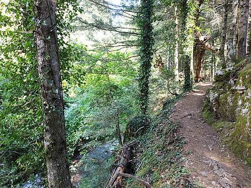 Greece, Fthiotida, Mountain Oiti, Pavliani park