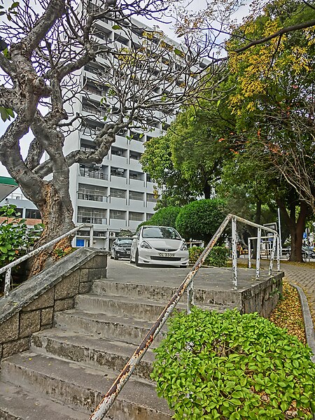 File:HK King's Park 伊利沙伯醫院 Queen Elizabeth Hospital Road 普通科護士訓練學校 School of General Nursing Jan-2013 stairs carpark.JPG