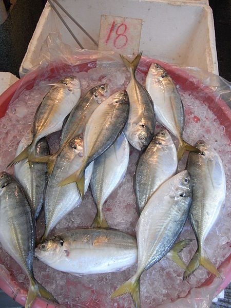 File:HK Yaumatei 新填地街 Reclamation Street market Ice little fishes HKD18.jpg