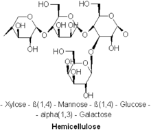 hemicellulose cellulose lignin