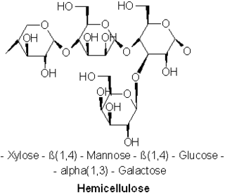 <span class="mw-page-title-main">Hemicellulose</span> Class of plant cell wall polysaccharides