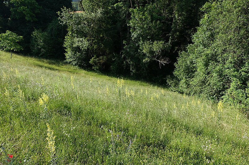 File:Hike to Gorges du Chéran, Tours Saint-Jacques & Semnoz (28979100648).jpg