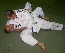 Judoka demonstrating Hon kesa gatame