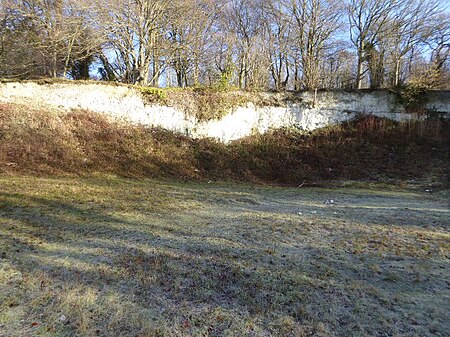 Hurley Chalk Pit (5)