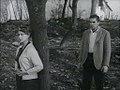 Vignette pour Le Cri (film, 1957)