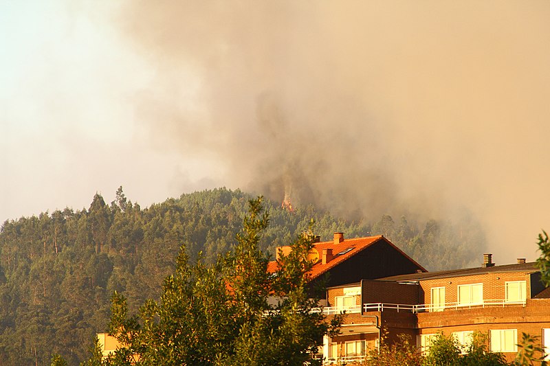 File:Incendio forestal en Puente Sampayo (28871071616).jpg