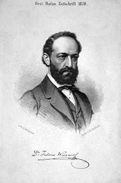 Julius Wiesner (Josef Kriehuber litográfiája, 1870)