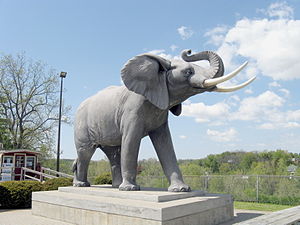 Elefant Jumbo: Hintergrund, Leben, Nachleben