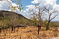 * Nomination View from Gunwarrdehwarrde Lookout, Kakadu National Park, Northern Territory, Australia --XRay 04:18, 5 March 2020 (UTC) * Promotion  Support Good quality -- Johann Jaritz 04:20, 5 March 2020 (UTC)