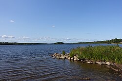 Kalixälven from seen from Kalix.jpg