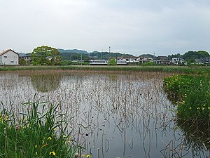 車站遠景