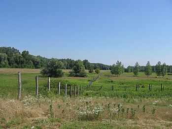 Specjalny rezerwaty przyrody Karađorđevo﻿(inne języki) w Serbii (2011)