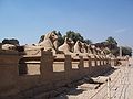 Ram-headed sphinx statues at Karnak