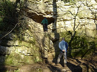 <span class="mw-page-title-main">Kirkdale Cave</span> Cave in North Yorkshire, England