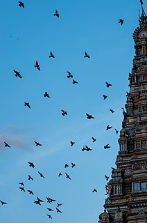 Hanumanthanagar, Bengaluru Suburb in Bengaluru Urban, Karnataka, India