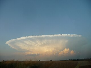 Der Cumulonimbus oder Kumuloni