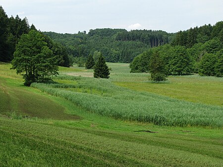 Kupferbachtal-1.jpg