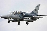 L159 - RIAT 2008 (3153741944).jpg