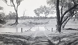 Langlo River crossing between Charleville and Adavale, 1923.jpg