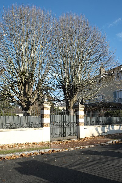 File:Le Vésinet Avenue Georges Clemenceau 22 136.jpg