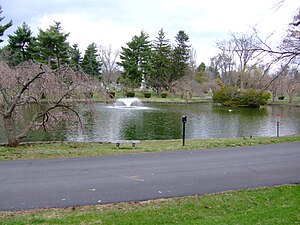 Cimetière de Lexington