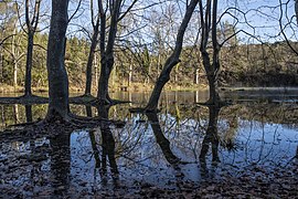 Lez River, Saint-Clément-de-Rivière cf03.jpg