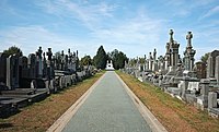 Le cimetière de Lomme, à Lille