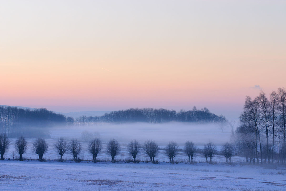 English: Sunrise at Lime tree avenue at Grønli farm, Moss Norsk bokmål: Grønli gård, Moss Photograph: Edmund Schilvold