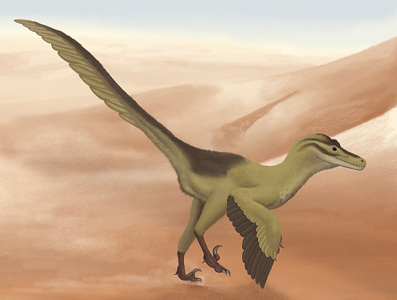 File:Linheraptor exquisitus.jpg