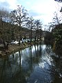 Čeština: Bojovský potok English: Bojovský potok creek in Central Bohemian region, CZ