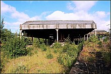 Overgrown station platforms in 2009