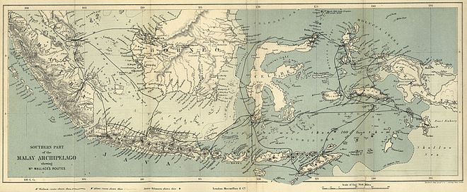Mapa original que muestra los viajes de Wallace