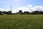 Marks Tey Brickpit