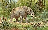 Mastodont