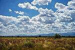 Park Narodowy Meru, Kenia - 31288269880.jpg