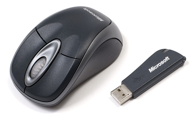 Mouse - Wikipedia