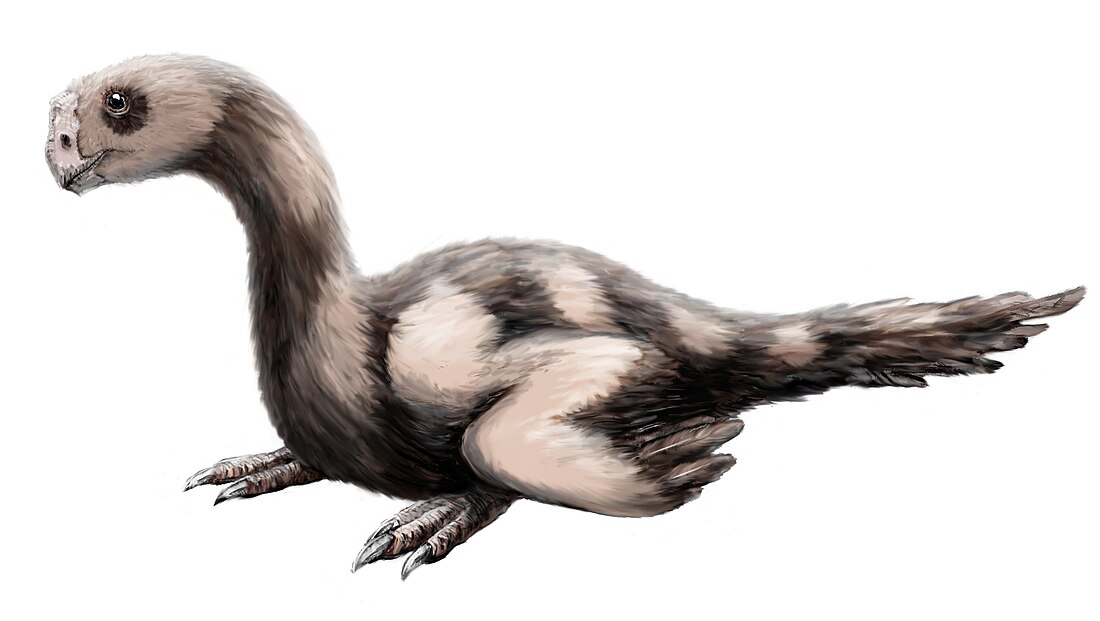 Mikrovenator