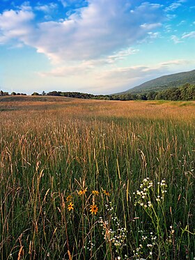 Mifflin Township (comté de Columbia, Pennsylvanie)