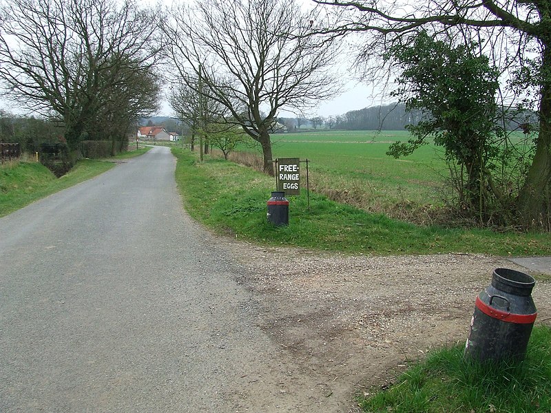 File:Milk Churns - geograph.org.uk - 2327376.jpg