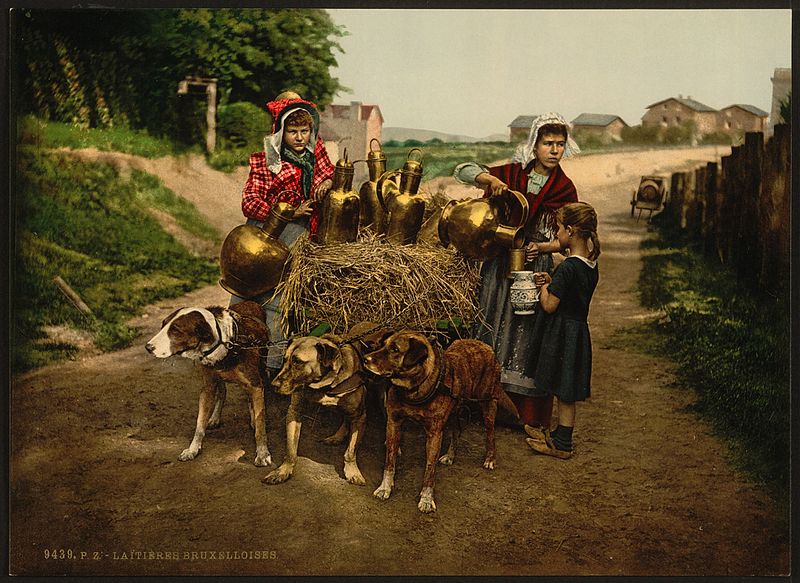 File:Milksellers, Brussels, Belgium-LCCN2001697925.jpg