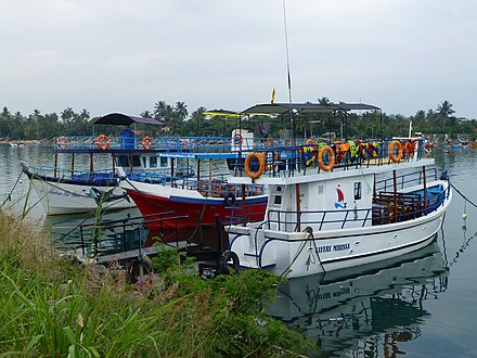 Whale watching boats