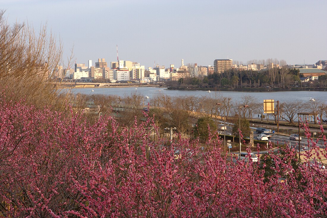 File:Mito skyline over plums.jpg