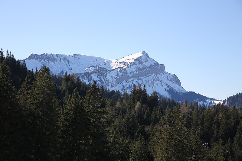 File:Mittagsgüpfi from the cablecar to Pilatus.jpg