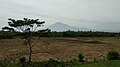 Gunung Ceremai dari Desa Loji, Kecamatan Jatiwangi, Kabupaten Majalengka